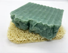 Load image into Gallery viewer, Bioplastic Soap Saver Pads